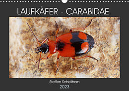 Kalender LAUFKÄFER - CARABIDAE (Wandkalender 2023 DIN A3 quer) von Steffen Schellhorn