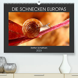 Kalender DIE SCHNECKEN EUROPAS (Premium, hochwertiger DIN A2 Wandkalender 2023, Kunstdruck in Hochglanz) von Steffen Schellhorn