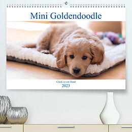 Kalender Mini Goldendoodle - Glück ist ein Hund (Premium, hochwertiger DIN A2 Wandkalender 2023, Kunstdruck in Hochglanz) von Stephan Schulz