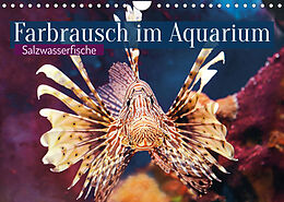Kalender Farbrausch im Aquarium: Salzwasserfische (Wandkalender 2023 DIN A4 quer) von CALVENDO