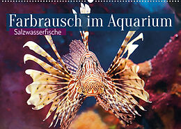 Kalender Farbrausch im Aquarium: Salzwasserfische (Wandkalender 2023 DIN A2 quer) von CALVENDO