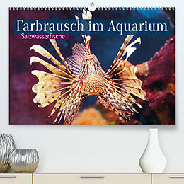 Kalender Farbrausch im Aquarium: Salzwasserfische (Premium, hochwertiger DIN A2 Wandkalender 2023, Kunstdruck in Hochglanz) von CALVENDO
