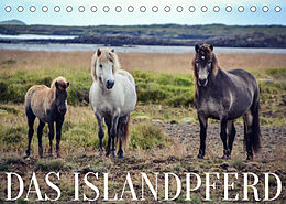 Kalender Das Islandpferd (Tischkalender 2023 DIN A5 quer) von Hannah Krämer