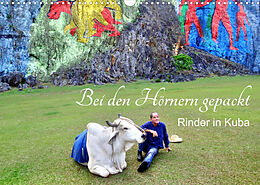 Kalender Bei den Hörnern gepackt - Rinder in Kuba (Wandkalender 2023 DIN A3 quer) von Henning von Löwis of Menar