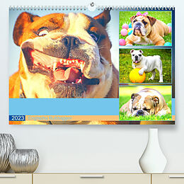 Kalender Dicke Freunde. Englische Bulldoggen (Premium, hochwertiger DIN A2 Wandkalender 2023, Kunstdruck in Hochglanz) von Rose Hurley