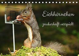 Kalender Eichhörnchen - zauberhaft verspielt (Tischkalender 2023 DIN A5 quer) von Angela Merk