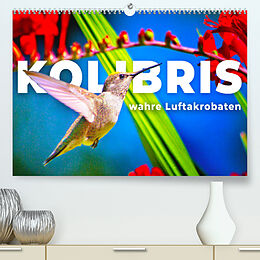 Kalender Kolibris - wahre Luftakrobaten (Premium, hochwertiger DIN A2 Wandkalender 2023, Kunstdruck in Hochglanz) von SF