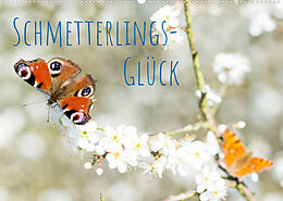 Kalender Schmetterlings-Glück (Wandkalender 2023 DIN A2 quer) von Carola Vahldiek