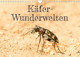 Kalender Käfer-Wunderwelten (Wandkalender 2023 DIN A4 quer) von Carola Vahldiek