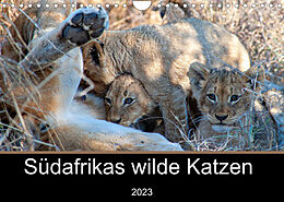 Kalender Südafrikas wilde Katzen (Wandkalender 2023 DIN A4 quer) von Markus A. Bissig