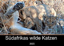 Kalender Südafrikas wilde Katzen (Tischkalender 2023 DIN A5 quer) von Markus A. Bissig