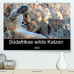 Kalender Südafrikas wilde Katzen (Premium, hochwertiger DIN A2 Wandkalender 2023, Kunstdruck in Hochglanz) von Markus A. Bissig