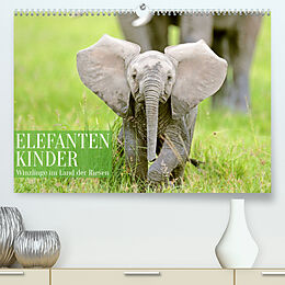 Kalender Elefantenkinder: Winzlinge im Land der Riesen (Premium, hochwertiger DIN A2 Wandkalender 2023, Kunstdruck in Hochglanz) von CALVENDO