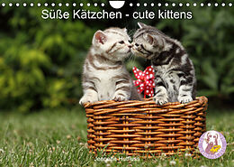 Kalender Süße Kätzchen - cute kittens (Wandkalender 2023 DIN A4 quer) von Jeanette Hutfluss