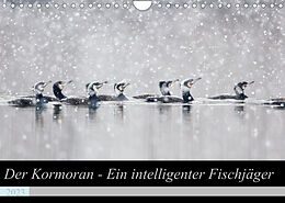 Kalender Der Kormoran - Ein intelligenter Fischjäger (Wandkalender 2023 DIN A4 quer) von Wilfried Martin