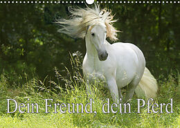 Kalender Dein Freund, dein Pferd (Wandkalender 2023 DIN A3 quer) von Erika Müller