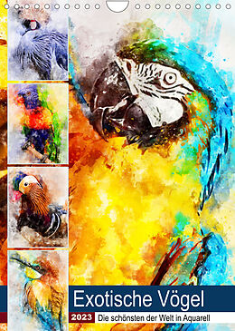 Kalender Exotische Vögel - Die Schönsten der Welt in Aquarell (Wandkalender 2023 DIN A4 hoch) von Anja Frost