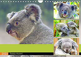 Kalender Koalas. Teddy-Alarm! (Wandkalender 2023 DIN A4 quer) von Rose Hurley