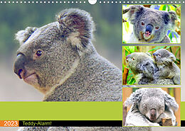 Kalender Koalas. Teddy-Alarm! (Wandkalender 2023 DIN A3 quer) von Rose Hurley