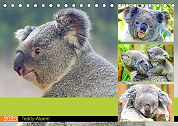 Kalender Koalas. Teddy-Alarm! (Tischkalender 2023 DIN A5 quer) von Rose Hurley