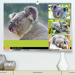 Kalender Koalas. Teddy-Alarm! (Premium, hochwertiger DIN A2 Wandkalender 2023, Kunstdruck in Hochglanz) von Rose Hurley