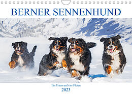 Kalender Berner Sennenhund - Ein Traum auf vier Pfoten (Wandkalender 2023 DIN A4 quer) von Sigrid Starick