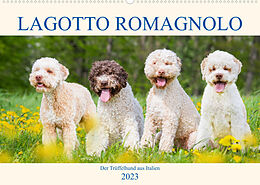 Kalender Lagotto Romagnolo - Der Trüffelhund aus Italien (Wandkalender 2023 DIN A2 quer) von Sigrid Starick