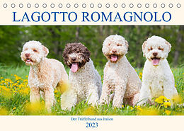 Kalender Lagotto Romagnolo - Der Trüffelhund aus Italien (Tischkalender 2023 DIN A5 quer) von Sigrid Starick