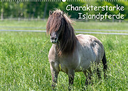 Kalender Charakterstarke Islandpferde (Wandkalender 2023 DIN A2 quer) von Britta Berkenkamp