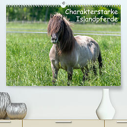 Kalender Charakterstarke Islandpferde (Premium, hochwertiger DIN A2 Wandkalender 2023, Kunstdruck in Hochglanz) von Britta Berkenkamp