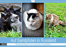 Kalender Auf Samtpfoten in Russland - Museums-Katzen auf russischen Landgütern (Wandkalender 2023 DIN A4 quer) von Henning von Löwis of Menar