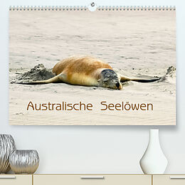 Kalender Australische Seelöwen (Premium, hochwertiger DIN A2 Wandkalender 2023, Kunstdruck in Hochglanz) von Silvia Drafz