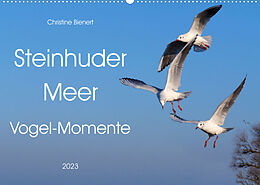 Kalender Steinhuder Meer, Vogel-Momente (Wandkalender 2023 DIN A2 quer) von Christine Bienert