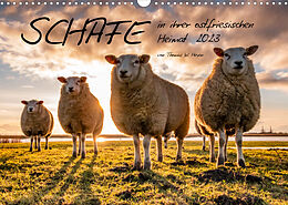 Kalender Schafe in ihrer ostfriesischen Heimat 2023 (Wandkalender 2023 DIN A3 quer) von Thomas W. Heyen