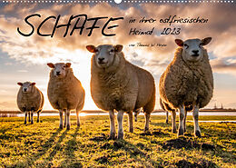 Kalender Schafe in ihrer ostfriesischen Heimat 2023 (Wandkalender 2023 DIN A2 quer) von Thomas W. Heyen