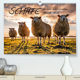 Kalender Schafe in ihrer ostfriesischen Heimat 2023 (Premium, hochwertiger DIN A2 Wandkalender 2023, Kunstdruck in Hochglanz) von Thomas W. Heyen