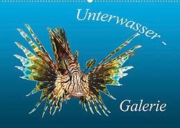 Kalender Unterwasser-Galerie (Wandkalender 2023 DIN A2 quer) von Ute Niemann