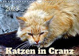Kalender Katzen in Cranz (Wandkalender 2023 DIN A4 quer) von Henning von Löwis of Menar