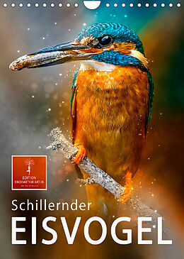 Kalender Schillernder Eisvogel (Wandkalender 2023 DIN A4 hoch) von Peter Roder