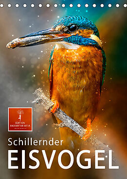 Kalender Schillernder Eisvogel (Tischkalender 2023 DIN A5 hoch) von Peter Roder