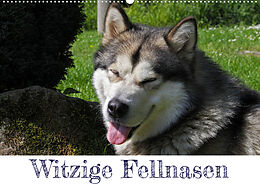 Kalender Witzige Fellnasen (Wandkalender 2023 DIN A2 quer) von Silvia Drafz