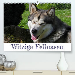 Kalender Witzige Fellnasen (Premium, hochwertiger DIN A2 Wandkalender 2023, Kunstdruck in Hochglanz) von Silvia Drafz