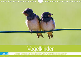 Kalender Vogelkinder - Junge Wildvögel (Wandkalender 2023 DIN A4 quer) von Christina Betten - Ostfriesenfotografie