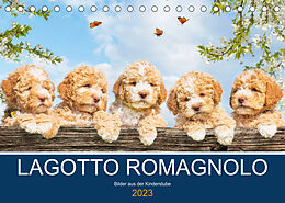 Kalender Lagotto Romagnolo - Bilder aus der Kinderstube (Tischkalender 2023 DIN A5 quer) von Sigrid Starick