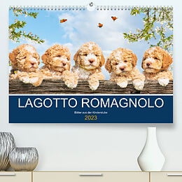 Kalender Lagotto Romagnolo - Bilder aus der Kinderstube (Premium, hochwertiger DIN A2 Wandkalender 2023, Kunstdruck in Hochglanz) von Sigrid Starick