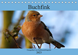 Kalender Buchfink - Fotografiert von Ostfriesenfotografie (Tischkalender 2023 DIN A5 quer) von Christina Betten - Ostfriesenfotografie