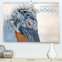 Kalender Charismatische Vögel (Premium, hochwertiger DIN A2 Wandkalender 2023, Kunstdruck in Hochglanz) von Falko Düsterhöft