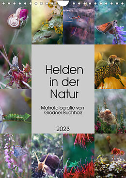 Kalender Helden in der Natur (Wandkalender 2023 DIN A4 hoch) von Joanna Grodner-Buchholz