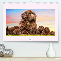 Kalender Neufundländer - Bilder aus der Kinderstube (Premium, hochwertiger DIN A2 Wandkalender 2023, Kunstdruck in Hochglanz) von Sigrid Starick