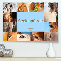 Kalender Seelenpferde - Augenblicke (Premium, hochwertiger DIN A2 Wandkalender 2023, Kunstdruck in Hochglanz) von Meike Bölts